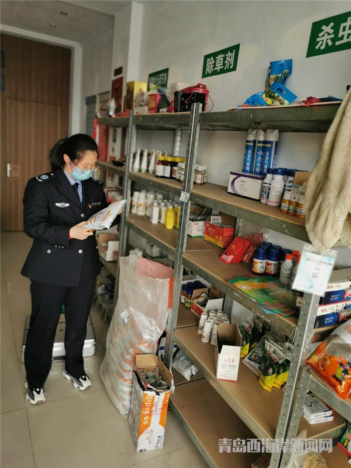 圖為西海岸新區農業綜合行政執法大隊執法隊員在查看玉米種子包裝。.jpg