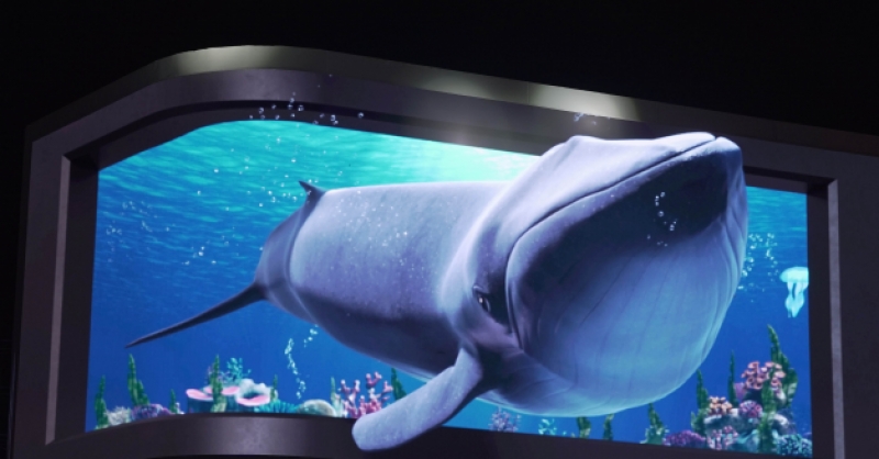 在金沙灘啤酒城，那些讓你眼前一亮的驚喜