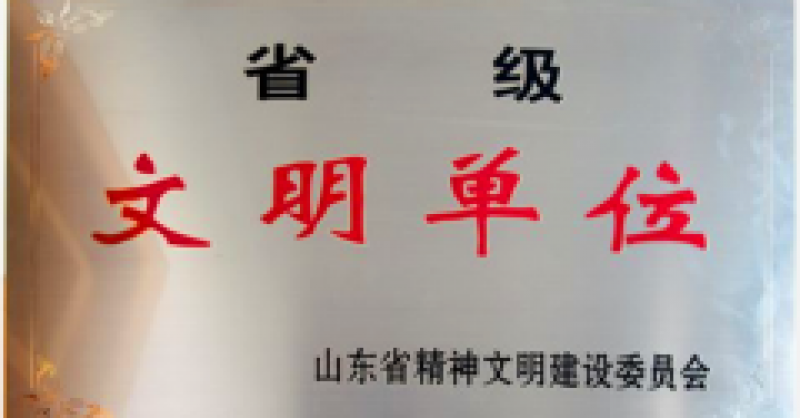 黃發集團榮獲“省級文明單位”榮譽稱號